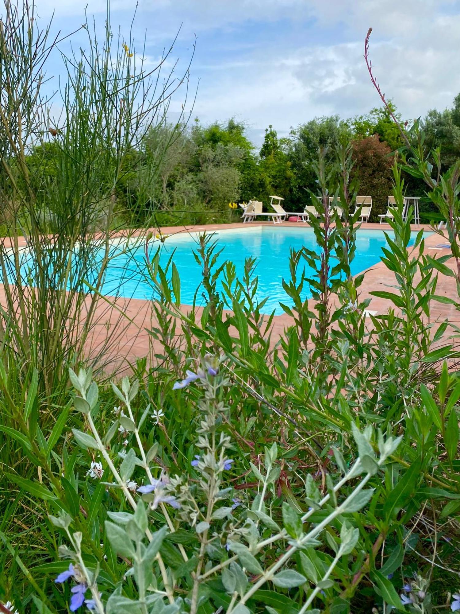 Nonna Nara Bed & Breakfast Grosseto Exterior foto